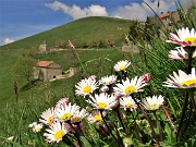 58 Mragherite con vista verso il Santuario della Sacra Famiglia